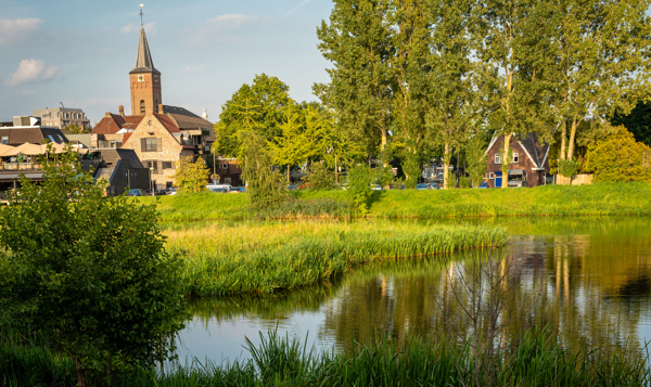 iStock-1668261721 (2).jpg