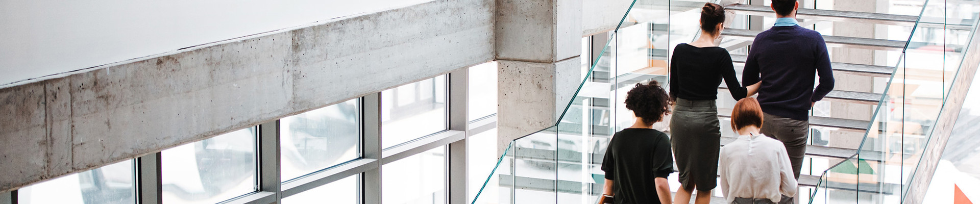 Vernieuw De Vernieuwing V2