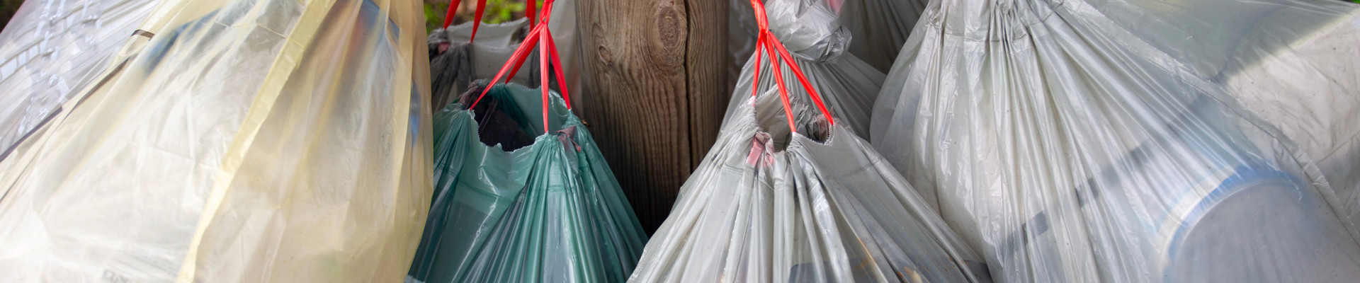 Istock 1282153718 (1)