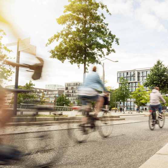 Gemeente Zevenaar: dagelijks gedrag in de klimaattransitie