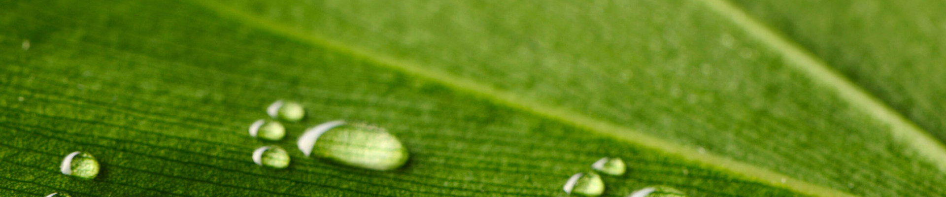 Istock 104641959 Scaled