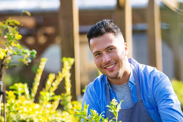 Scalabor Foto Bijgesneden (1)