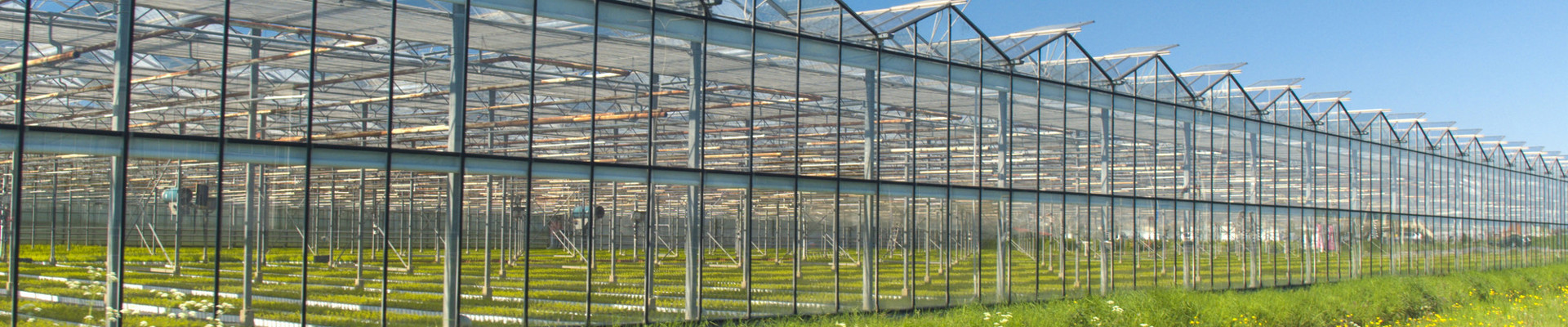 Glastuinbouw